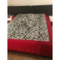 Bedsprei Zebra tweepersoons met kussenslopen en kussens