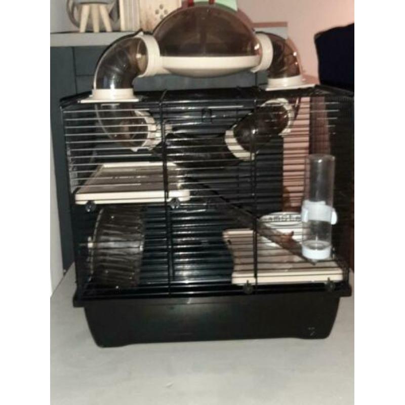 Hamster kooi