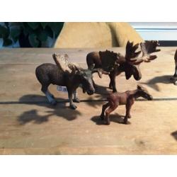Schleich oryx, okapi, steenbok, koedoe, gnoe, eland.