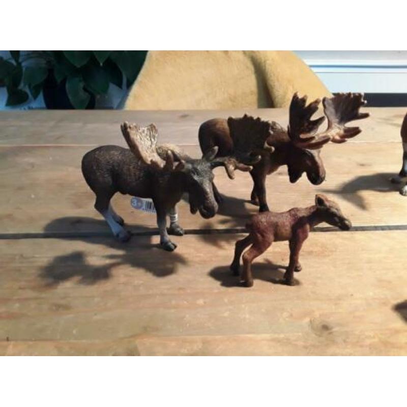 Schleich oryx, okapi, steenbok, koedoe, gnoe, eland.