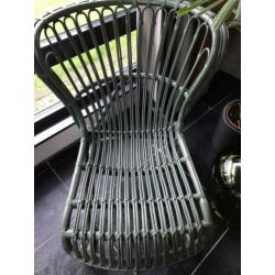 Fauteuil Nienke rotan groen izgs!
