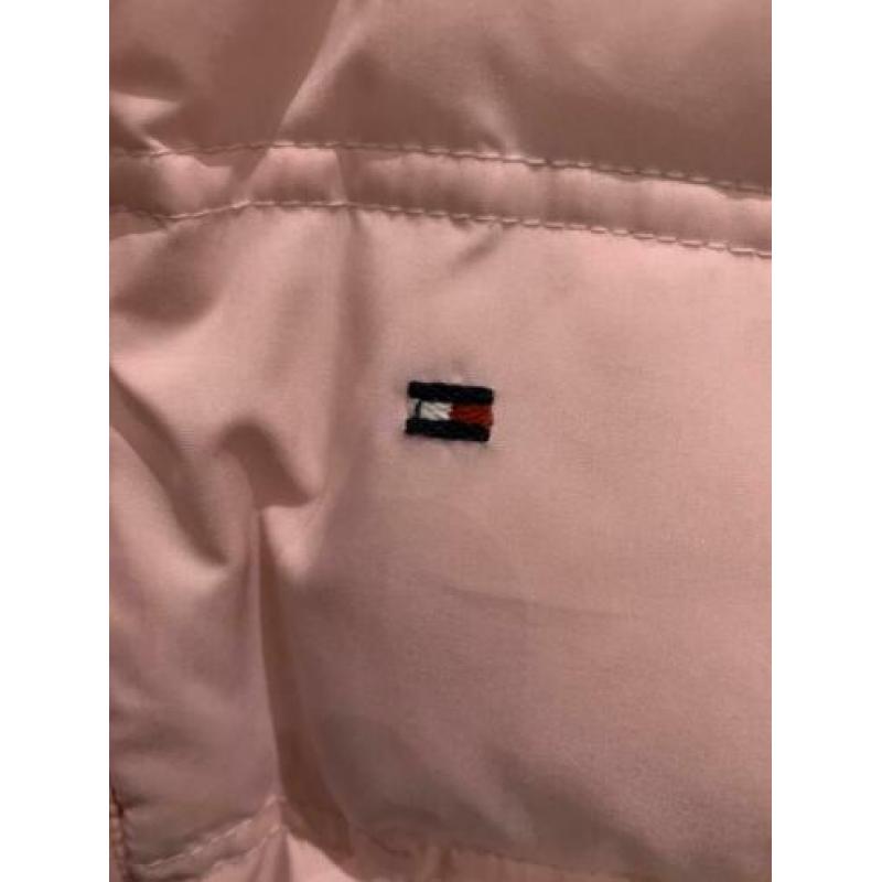 tommy hilfiger jas 74 tommy hilfiger baby winterjas dons