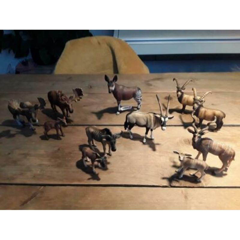 Schleich oryx, okapi, steenbok, koedoe, gnoe, eland.
