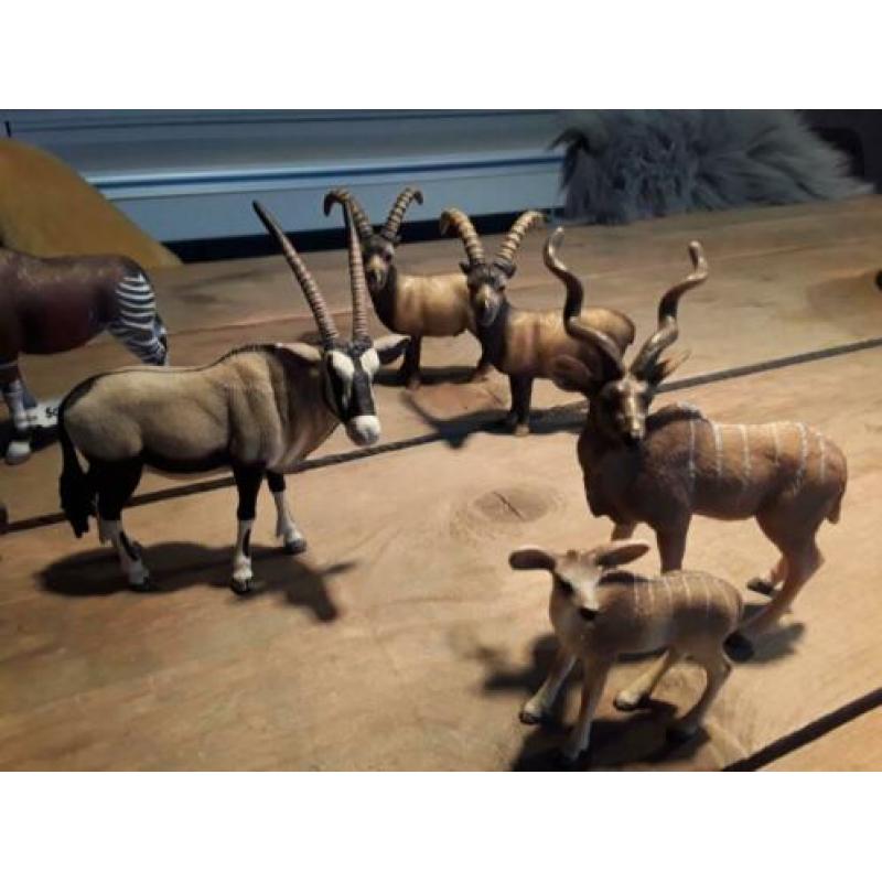 Schleich oryx, okapi, steenbok, koedoe, gnoe, eland.