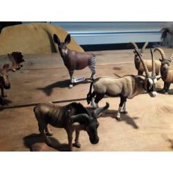 Schleich oryx, okapi, steenbok, koedoe, gnoe, eland.