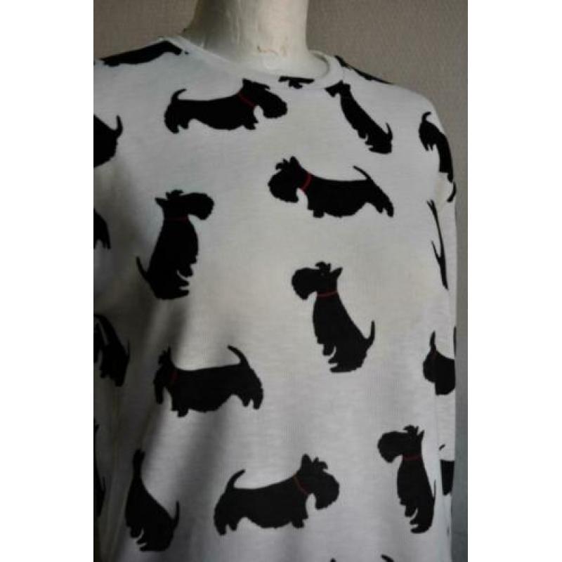 Zara Kids sweatshirt met hondjes
