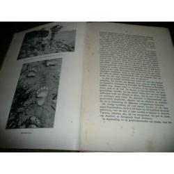 Per hondenslede door KAMTCHATKA – Sten Bergman (1929). drie