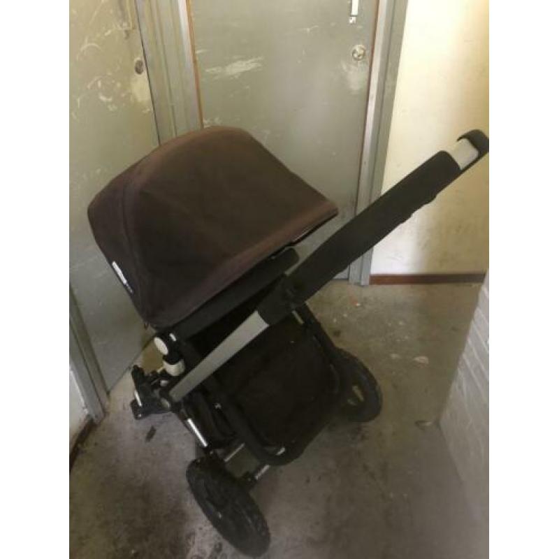 Bugaboo frog