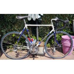 GAZELLE Champion Mondial KNSB Team met Campagnolo c/t 57 cm