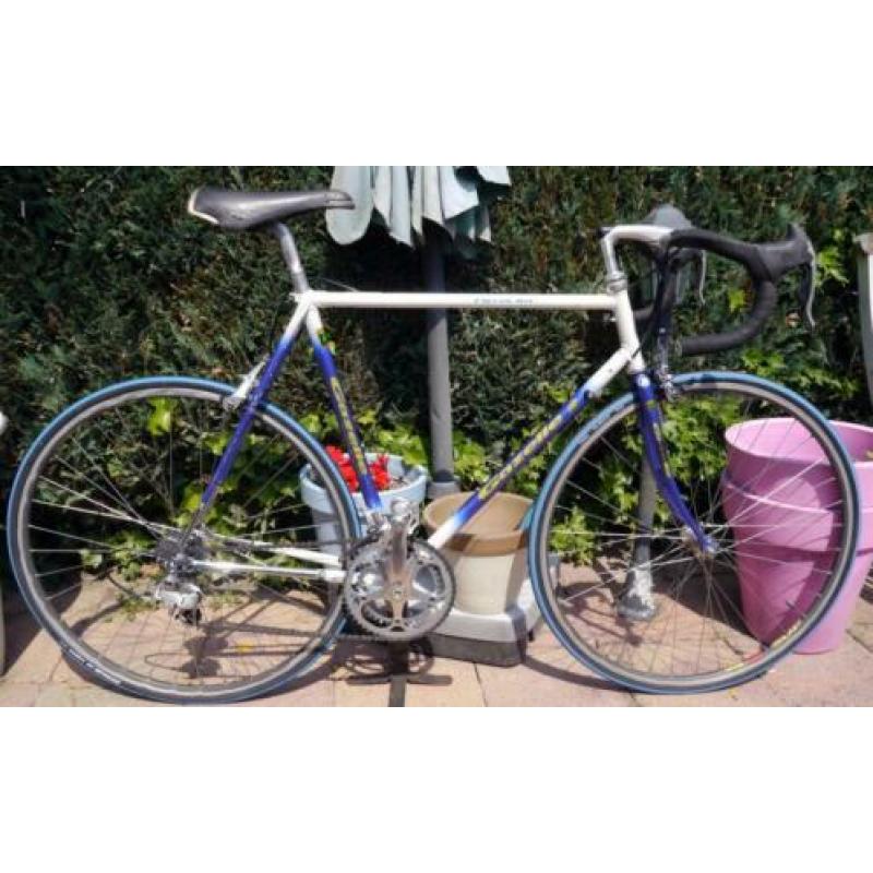 GAZELLE Champion Mondial KNSB Team met Campagnolo c/t 57 cm