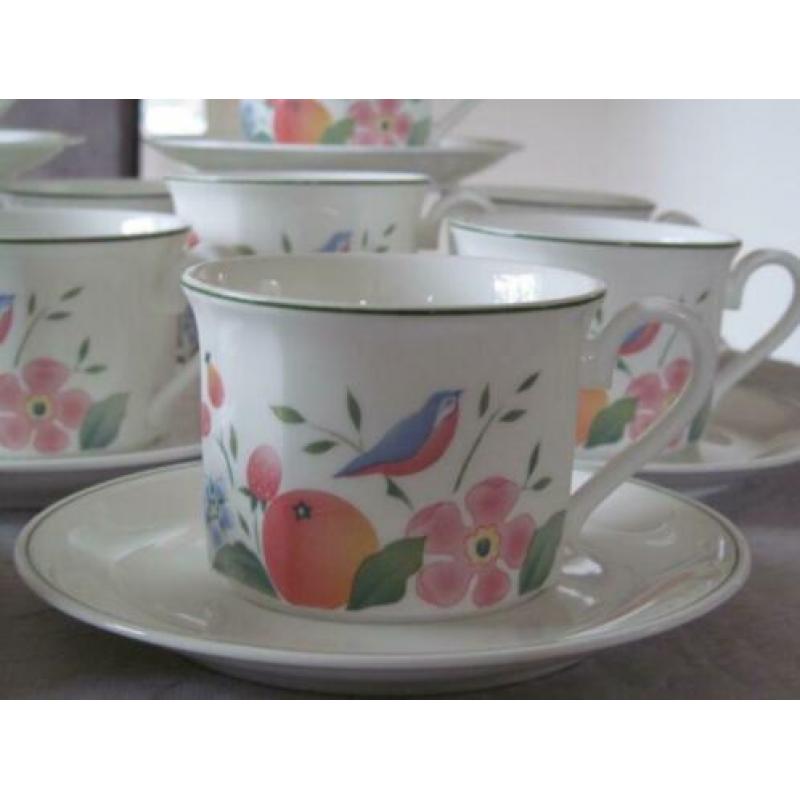 Villeroy & Boch Gallo Orangerie Design12 Kop en 10 Schotels