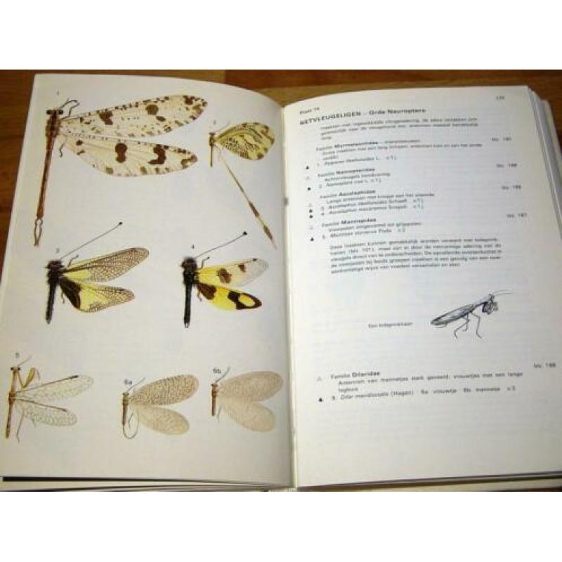 Michael Chinery. Elseviers Insektengids. Elsvier 1975 n2e dr