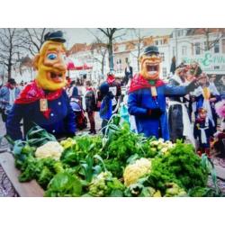 polyester carnavals kopjes