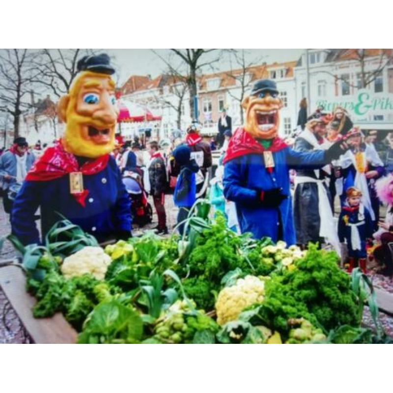 polyester carnavals kopjes