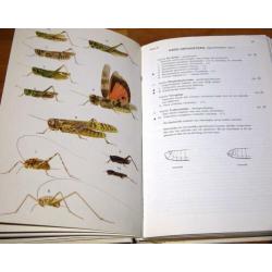 Michael Chinery. Elseviers Insektengids. Elsvier 1975 n2e dr