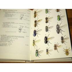 Michael Chinery. Elseviers Insektengids. Elsvier 1975 n2e dr