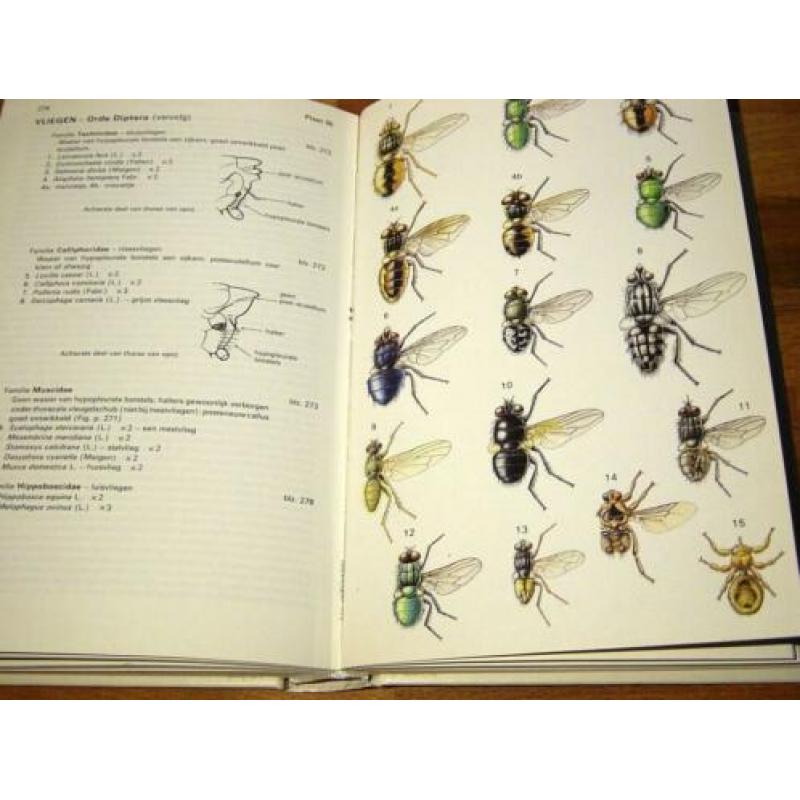 Michael Chinery. Elseviers Insektengids. Elsvier 1975 n2e dr
