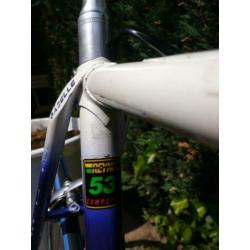 GAZELLE Champion Mondial KNSB Team met Campagnolo c/t 57 cm