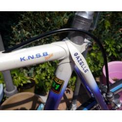 GAZELLE Champion Mondial KNSB Team met Campagnolo c/t 57 cm