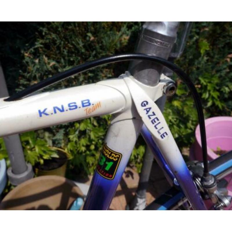 GAZELLE Champion Mondial KNSB Team met Campagnolo c/t 57 cm