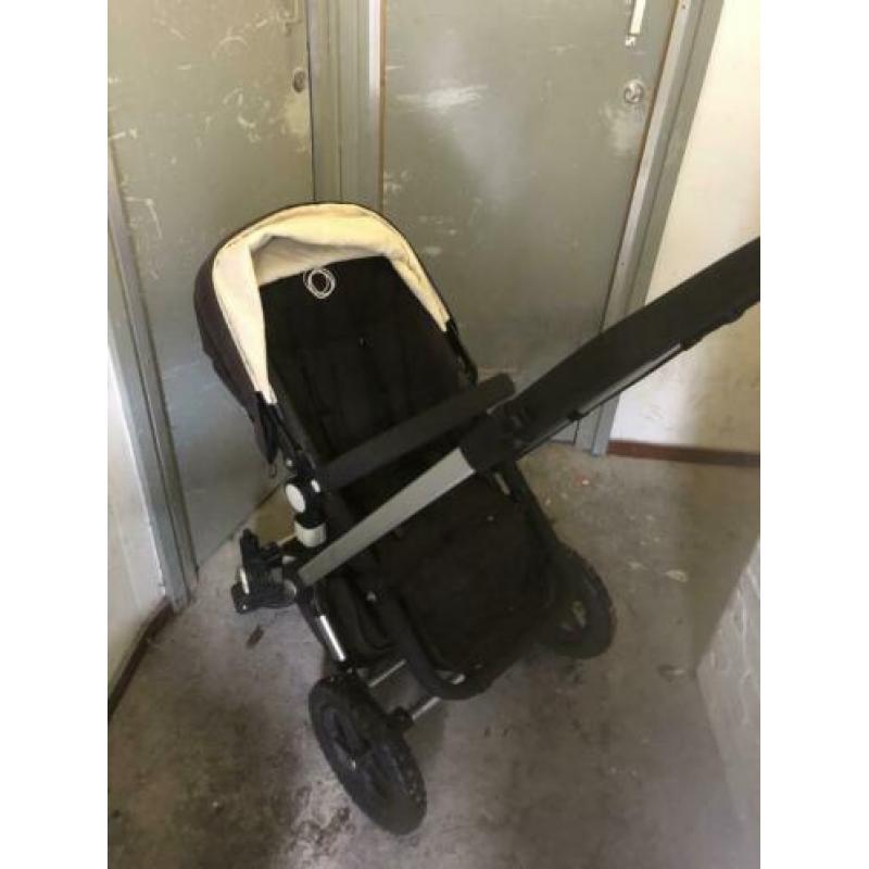 Bugaboo frog