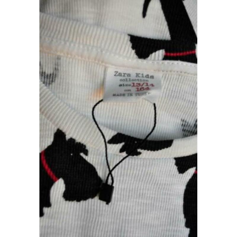 Zara Kids sweatshirt met hondjes
