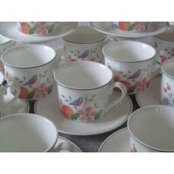 Villeroy & Boch Gallo Orangerie Design12 Kop en 10 Schotels