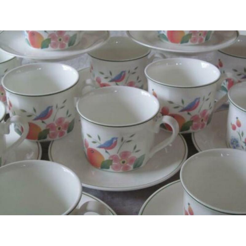 Villeroy & Boch Gallo Orangerie Design12 Kop en 10 Schotels
