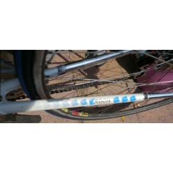 GAZELLE Champion Mondial KNSB Team met Campagnolo c/t 57 cm