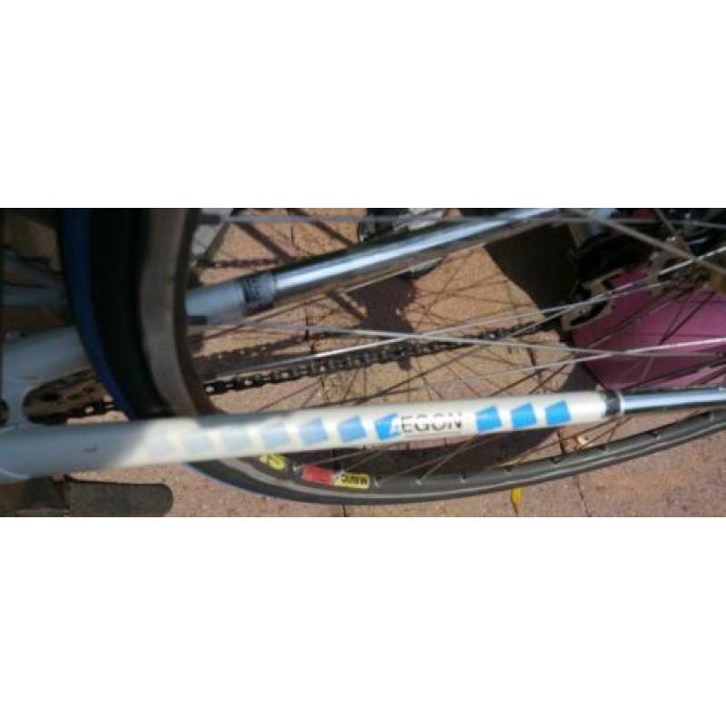 GAZELLE Champion Mondial KNSB Team met Campagnolo c/t 57 cm