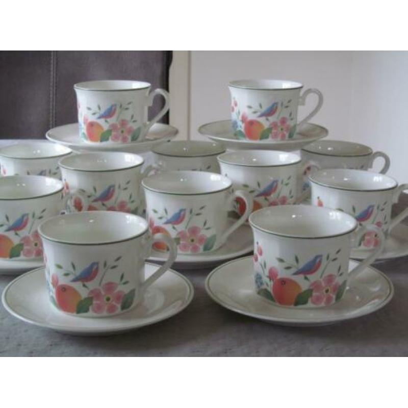 Villeroy & Boch Gallo Orangerie Design12 Kop en 10 Schotels