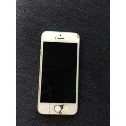 iPhone 5s Gold