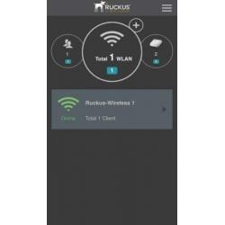 Ruckus ZoneFlex R600 access point.