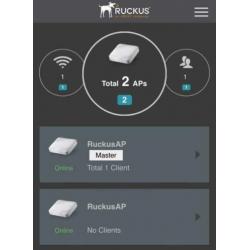 Ruckus ZoneFlex R600 access point.
