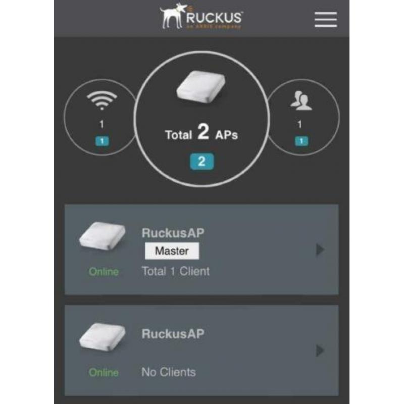 Ruckus ZoneFlex R600 access point.