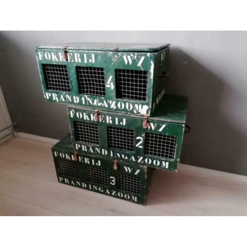 Oude transportkisten voor show-pluimvee