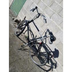 Nette Batavus Verona!