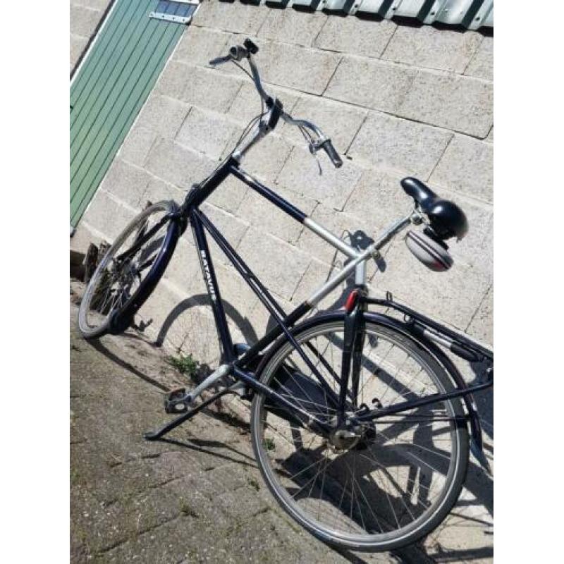 Nette Batavus Verona!