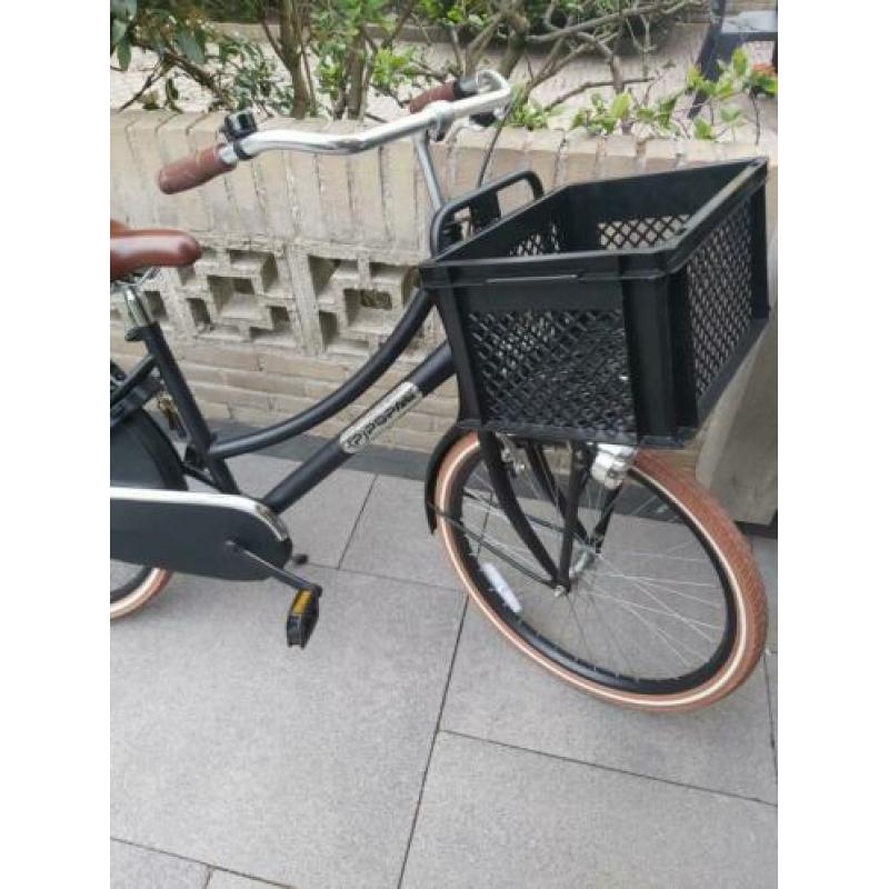 Popal meisjes fiets