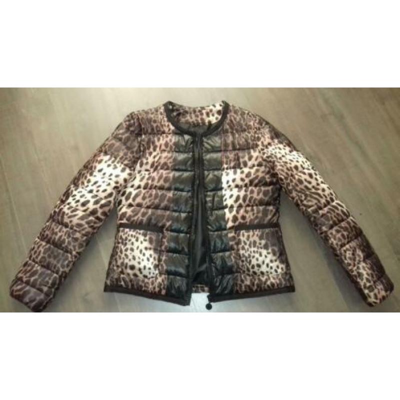 leuk animalprint tussenjasje ****maat s €5,-+verz.k.koper***