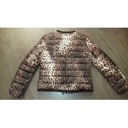 leuk animalprint tussenjasje ****maat s €5,-+verz.k.koper***
