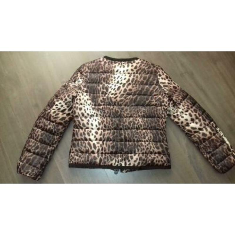 leuk animalprint tussenjasje ****maat s €5,-+verz.k.koper***