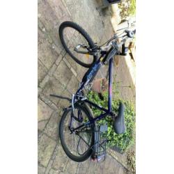 Gant mountainbike