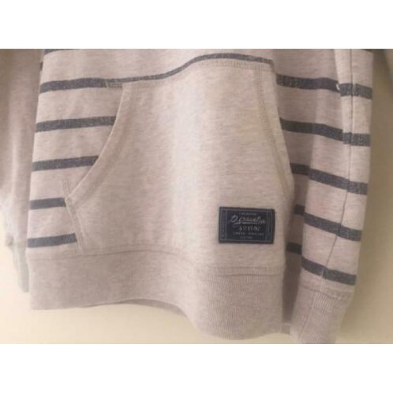 Sweater Gaastra maat 152