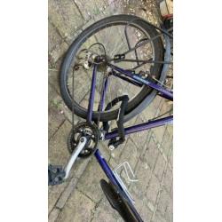 Gant mountainbike