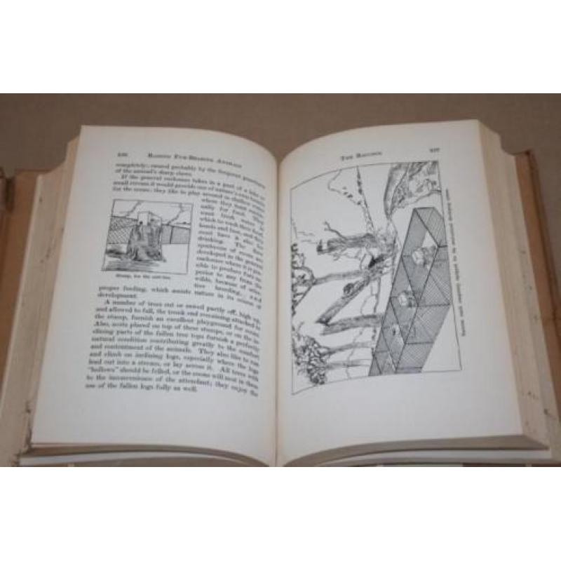 Raising fur-bearing animals - 1925 - Zeldzaam !!