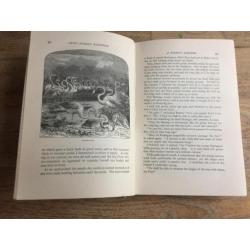 Wyss The Swiss family Robinson ca 1900 met vele illustraties