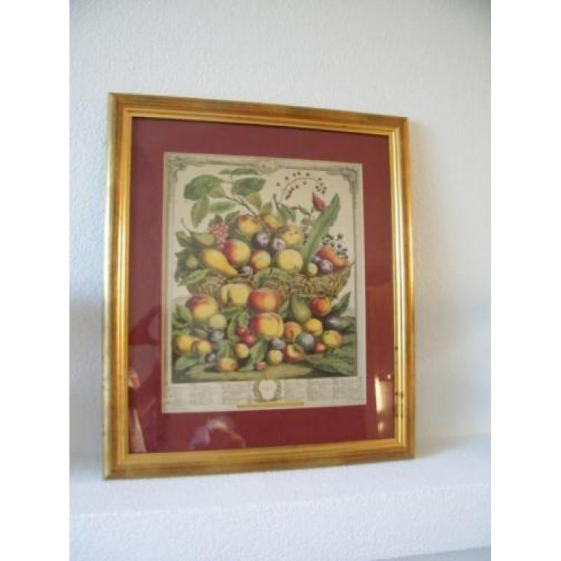 Sping Fruit Schilderij