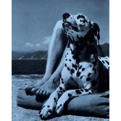 Herbert List - Master and dog (Portofino) - fotolitho