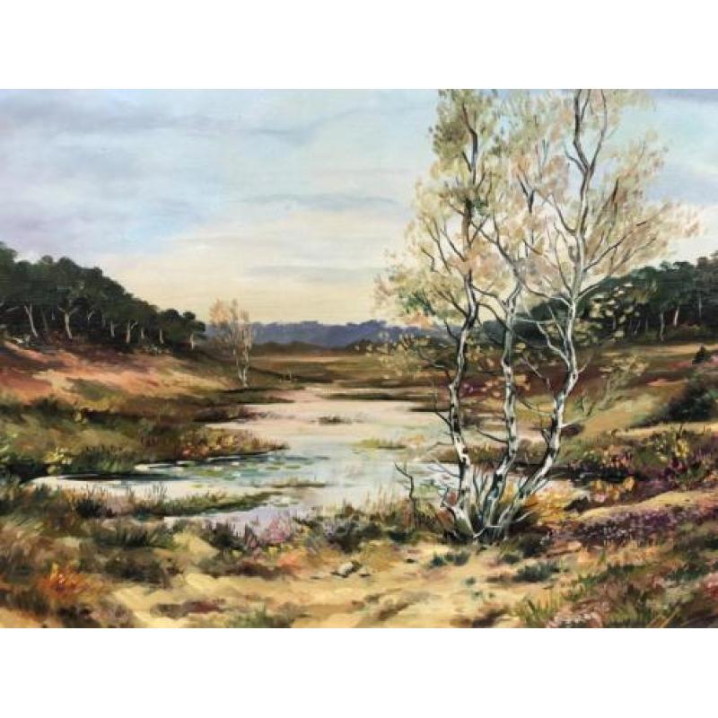 Erg mooi schilderij